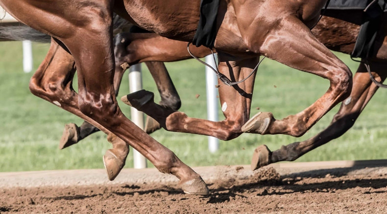 Racehorses running on dirt track. Click to learn more.