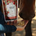 Best Probiotics for Horses